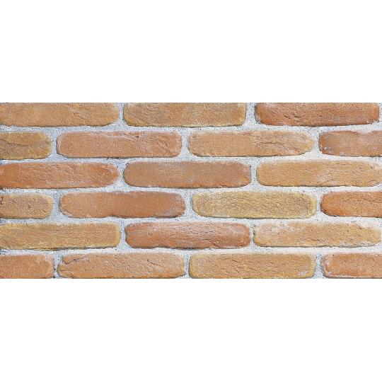 cotto antikolt natur tegla falburkolat natur bontott tegla country rusztikus mediterran toscana toszkan olasz termeszetes fagyallo termszetes burkolat padlolap jarolap padloburkolat csempe nappali terasz.jpg